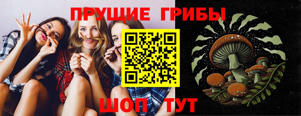 Тосно  Галлюциногенные грибы Psilocybine cubensis  Вход с VPN 