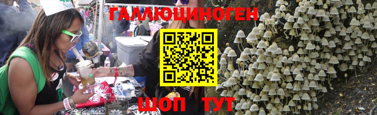 Псилоцибиновые грибы Psilocybe Тосно